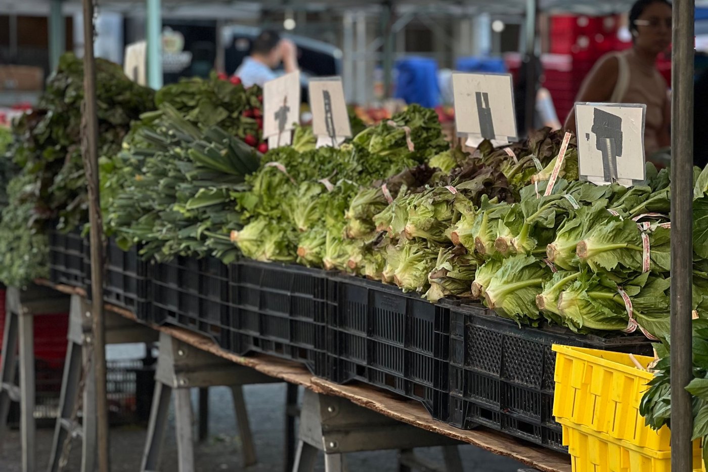 Fresh produce at an outdoor market stand, representative of Suwanee's Town Center Park community events