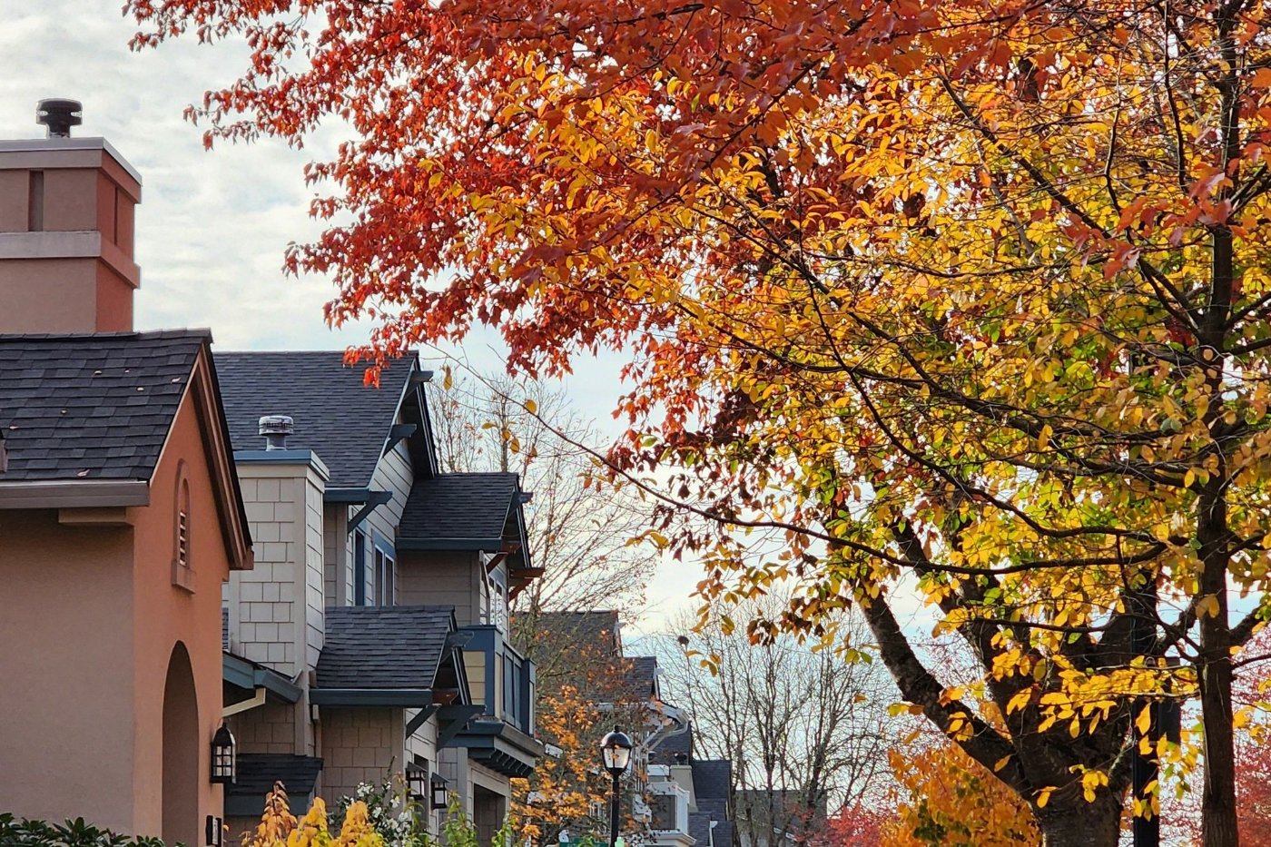 A suburban street lined with trees in fall colors, representative of the changing seasons in Gwinnett County